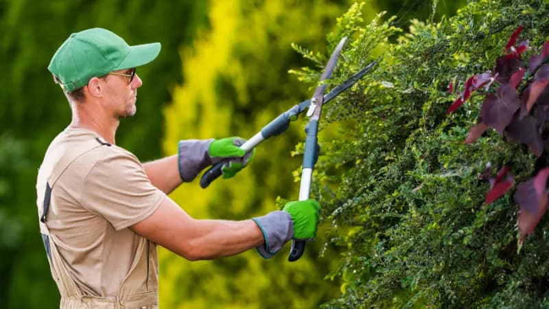 Nyanlagd trädgård med stensatt uteplats